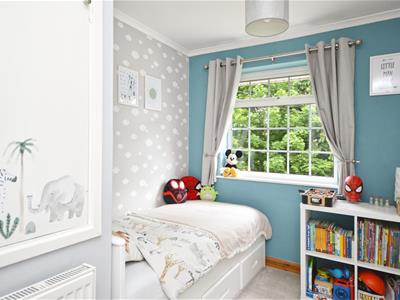 Picture 15
